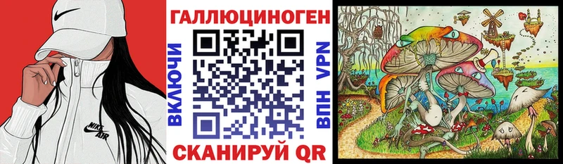 Купить закладки  Белый  Псилоцибиновые грибы GOLDEN TEACHER 